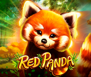 Red Panda